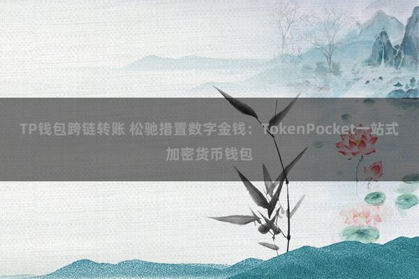 TP钱包跨链转账 松驰措置数字金钱：TokenPocket一站式加密货币钱包