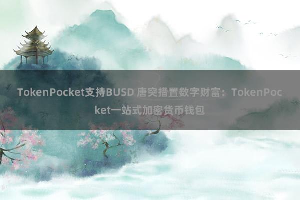 TokenPocket支持BUSD 唐突措置数字财富：TokenPocket一站式加密货币钱包