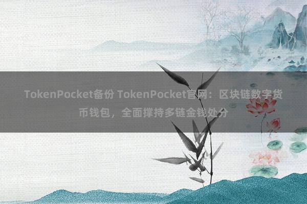 TokenPocket备份 TokenPocket官网：区块链数字货币钱包，全面撑持多链金钱处分